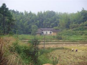 立蘇坪組村 立蘇坪組村