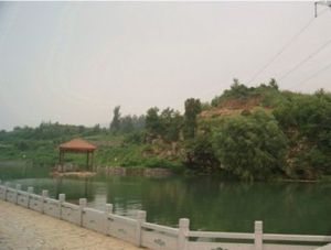 桃花島採摘園 桃花島採摘園