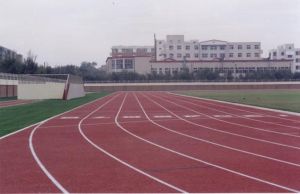 北京市第三十一中學