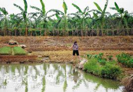 東莞市道滘鎮九曲村 東莞市道滘鎮九曲村