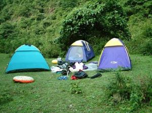 國際汽車露營公園 國際汽車露營公園