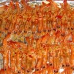 排叉鳳尾蝦 排叉鳳尾蝦