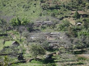 字白門自然村 字白門自然村