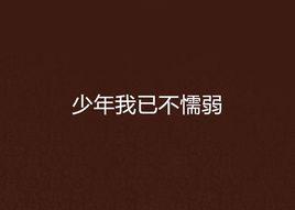 少年我已不懦弱 少年我已不懦弱