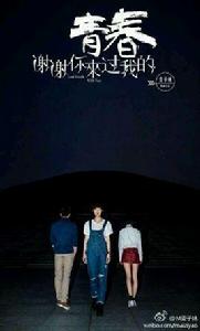 謝謝你來過我的青春 謝謝你來過我的青春