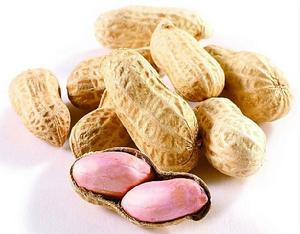 萊西大花生 萊西大花生