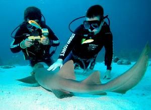 巴哈馬六大島 巴哈馬六大島