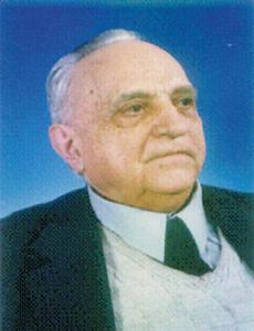 拉杜·沃伊內亞 拉杜·沃伊內亞