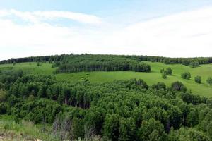 熱帶疏林高草原 熱帶疏林高草原