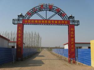 西泊莊村[河北省滄州市肅寧縣付家佐鄉下轄村]