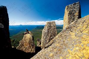 塔斯馬尼亞荒原 塔斯馬尼亞荒原