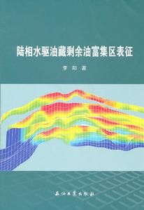 陸相水驅油藏剩餘油富集區表征 陸相水驅油藏剩餘油富集區表征