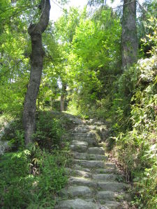 徐村嶺古道 徐村嶺古道