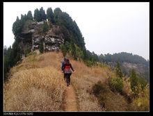 柏樹鎮[四川省宣漢縣柏樹鎮]