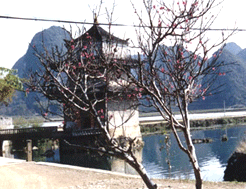 古龍山峽谷群景區 古龍山峽谷群景區