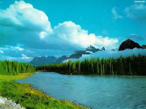 《到青山那邊去》 《到青山那邊去》