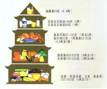 人體所需飲食結構