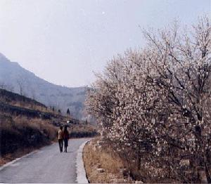 方山景區[河南省輝縣市方山景區]