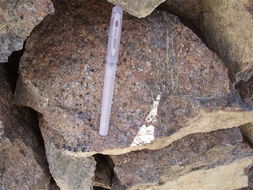 卷狀鈾礦體 卷狀鈾礦體