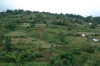 蒿壩地自然村 蒿壩地自然村