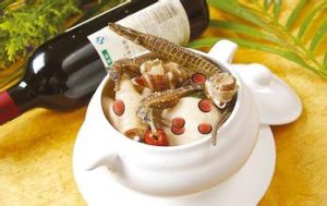 川貝蟲草燉水鴨 川貝蟲草燉水鴨