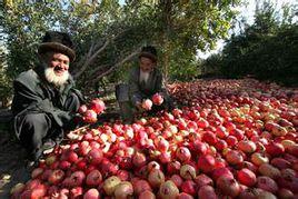 阿迪拉村 阿迪拉村