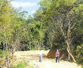張東周古道 張東周古道