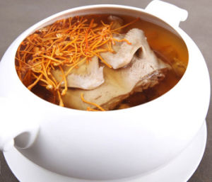 蟲草花燉水鴨 蟲草花燉水鴨