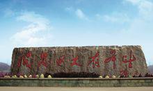 大龍[貴州大龍經濟開發區簡稱]