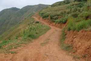 窯坪子自然村 窯坪子自然村