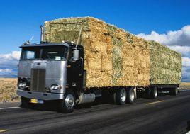 過遠運輸 過遠運輸