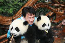 成龍保護動物公益活動