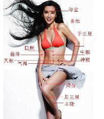 黃金分割養生法 黃金分割養生法