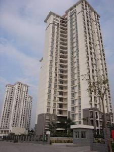 杏濱街道 杏濱街道