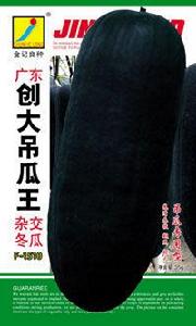 廣東創大吊瓜王 廣東創大吊瓜王