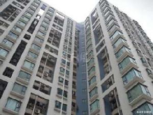 金迪名苑 金迪名苑