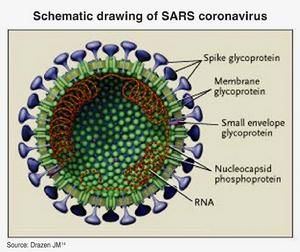 SARS病毒