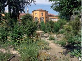帕多瓦植物園 帕多瓦植物園