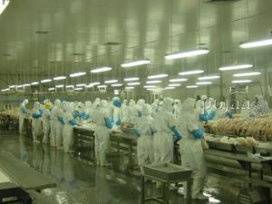 河北省景縣津龍良種豬養殖有限公司