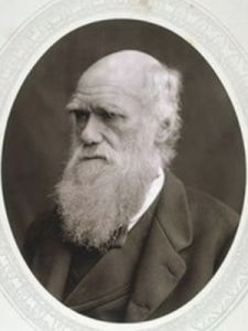 達爾文[英國生物學家查爾斯·羅伯特·達爾文]