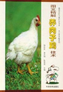 圖文精解養肉子雞技術 圖文精解養肉子雞技術
