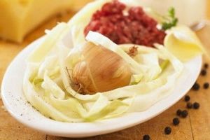 洋蔥冰減肥法 洋蔥冰減肥法