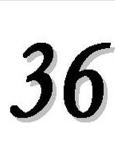 36 36