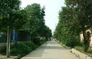 白王村[河南省洛陽市洛龍區下轄村]