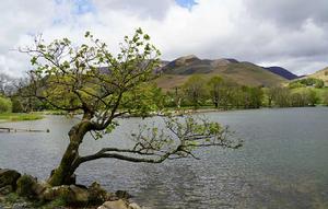 巴特米爾湖 巴特米爾湖