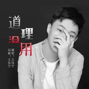 道理沒用 道理沒用