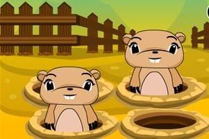 貪心小鼴鼠 貪心小鼴鼠