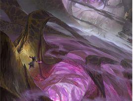 虛空之地 虛空之地