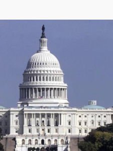 美國政體 美國政體