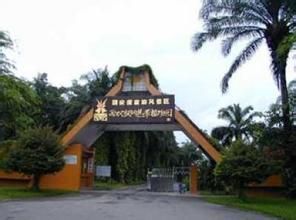 西雙版納自然博物館 西雙版納自然博物館